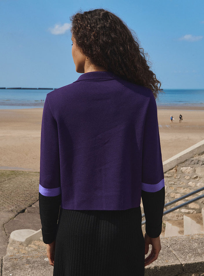 veste emmanuelle violet encrier veste tricot violet avec manches contrastées